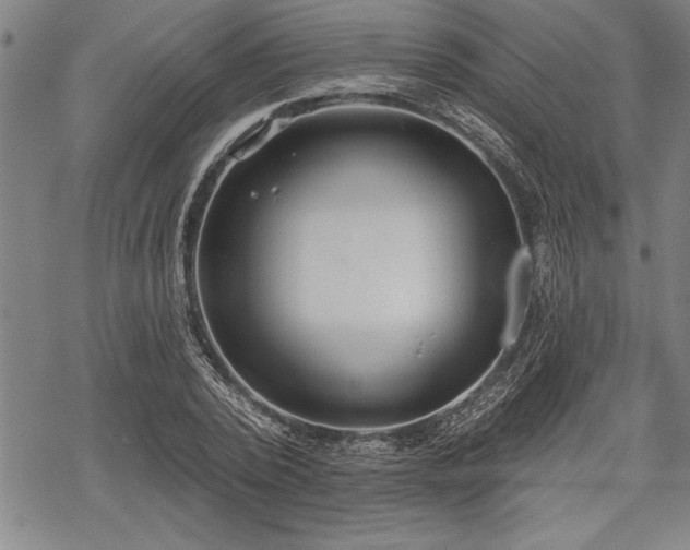 X0000069380784200605150916