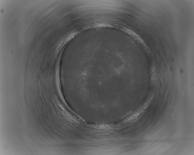 X0000069380785200605150916