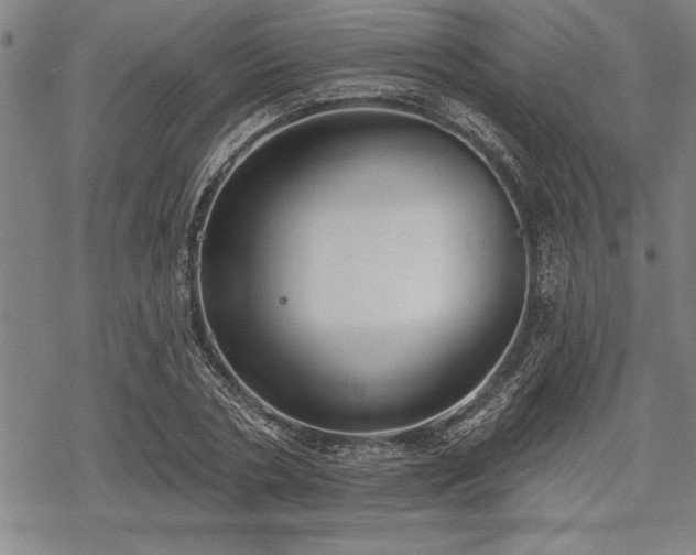 X0000069380786200605150916