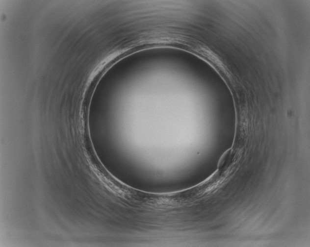 X0000069380787200605150916