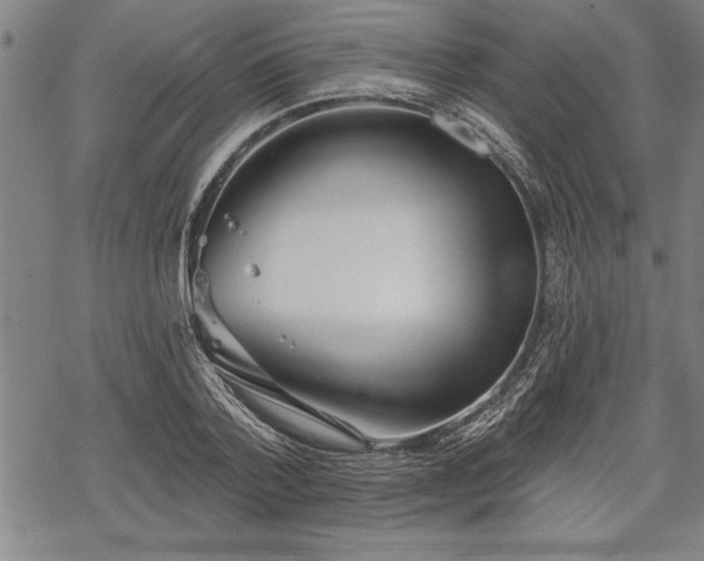 X0000069380788200605150916