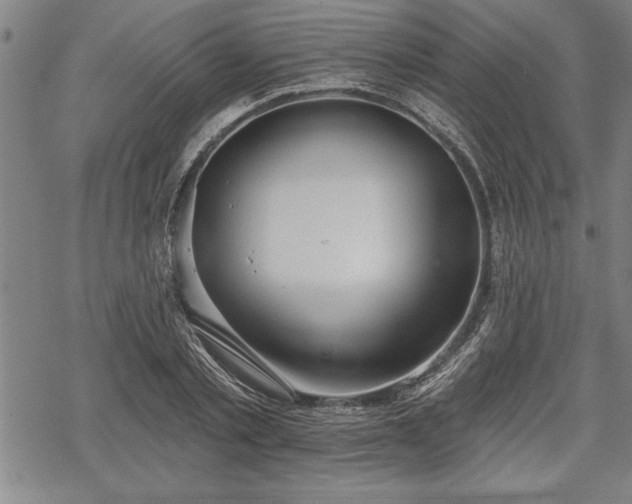 X0000069380789200605150916