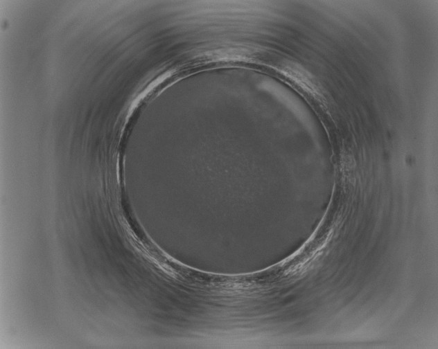 X0000069380790200605150916