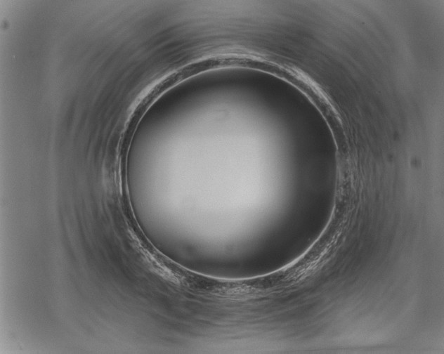 X0000069380791200605150916