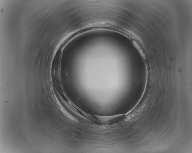 X0000069380792200605150916