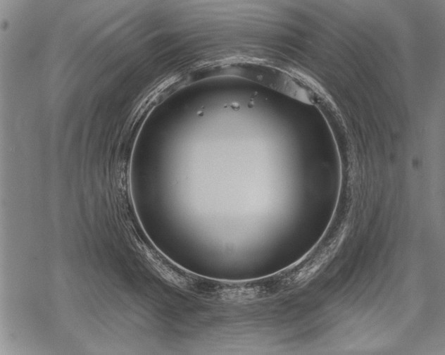 X0000069380793200605150916