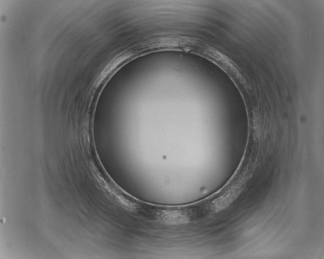 X0000069380794200605150916