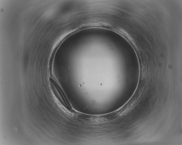 X0000069380795200605150916