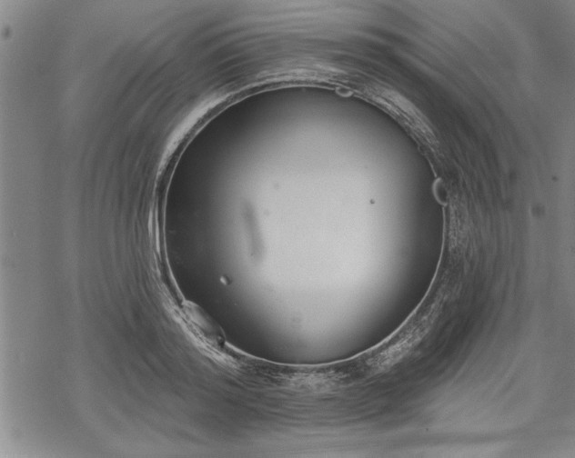 X0000069380796200605150916