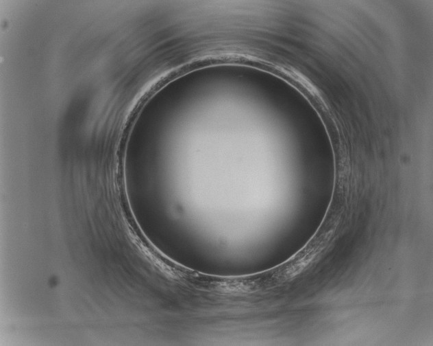 X0000069380799200605150916