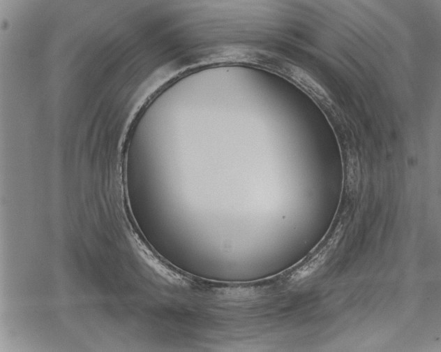 X0000069380800200605150916