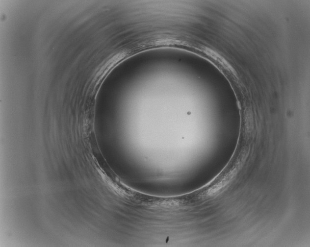 X0000069380801200605150916