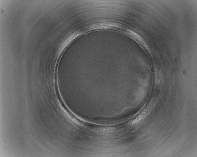 X0000069380802200605150916