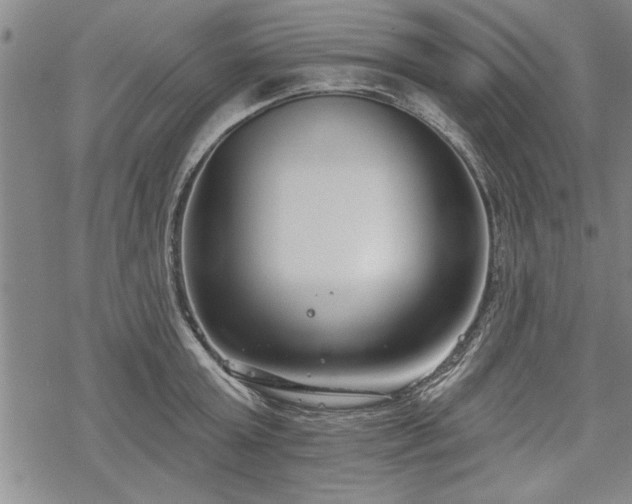 X0000069380803200605150916