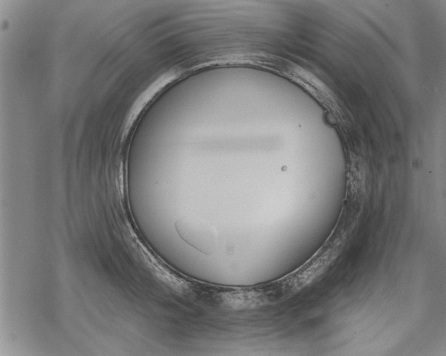 X0000069380804200605150916