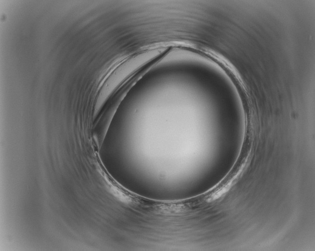 X0000069380809200605150916