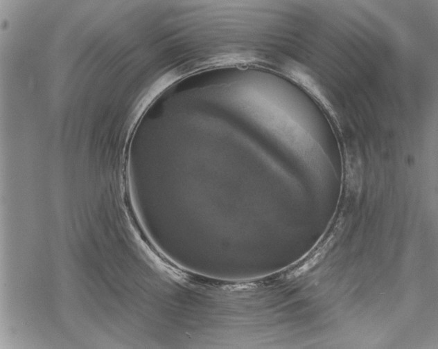 X0000069380810200605150916