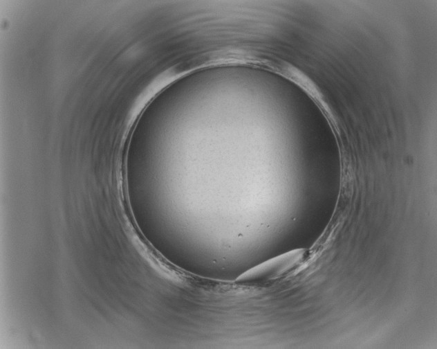 X0000069380811200605150916