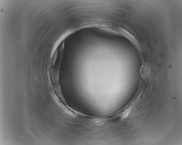 X0000069380812200605150916