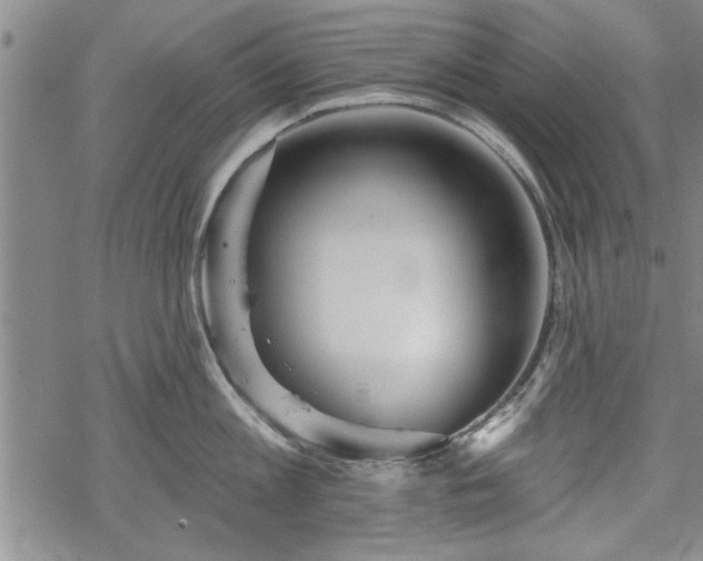 X0000069380813200605150916