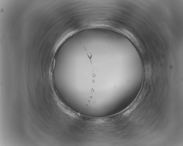 X0000069380814200605150916