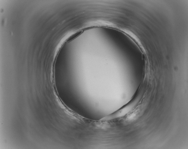 X0000069380815200605150916