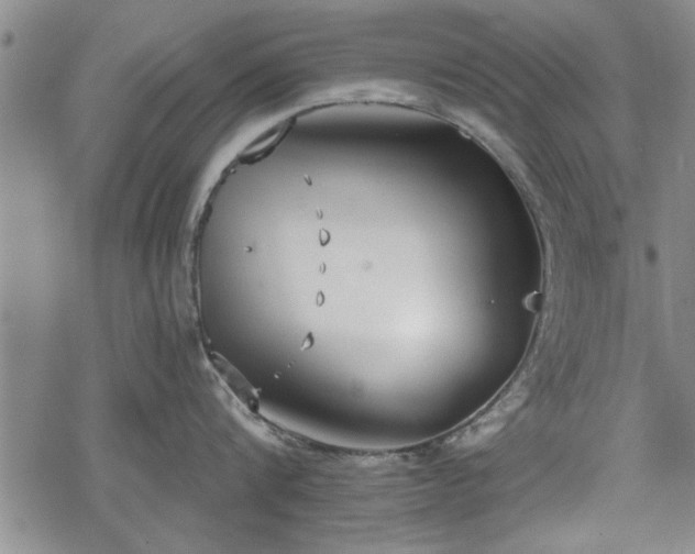 X0000069380816200605150916