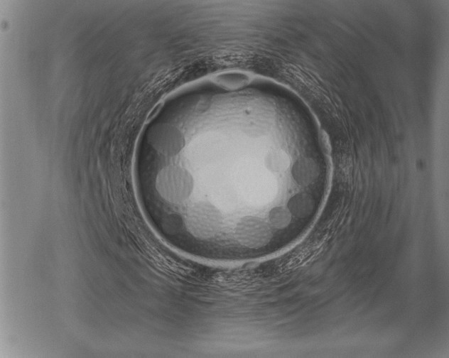 X0000069380817200605150915