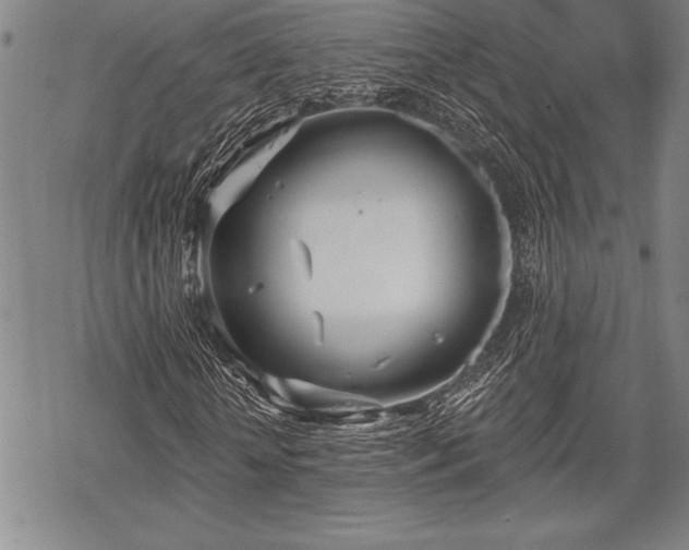 X0000069380818200605150915