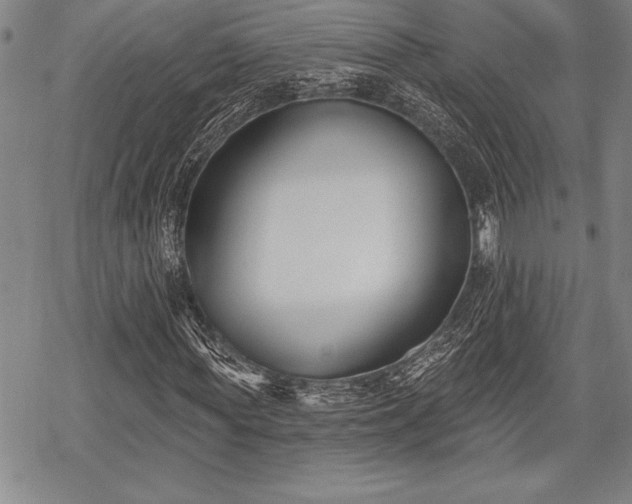 X0000069380819200605150915