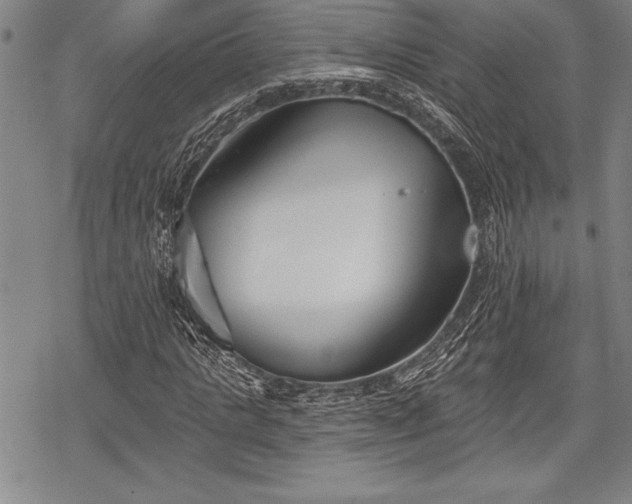 X0000069380821200605150915