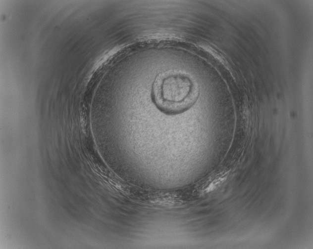 X0000069380823200605150915