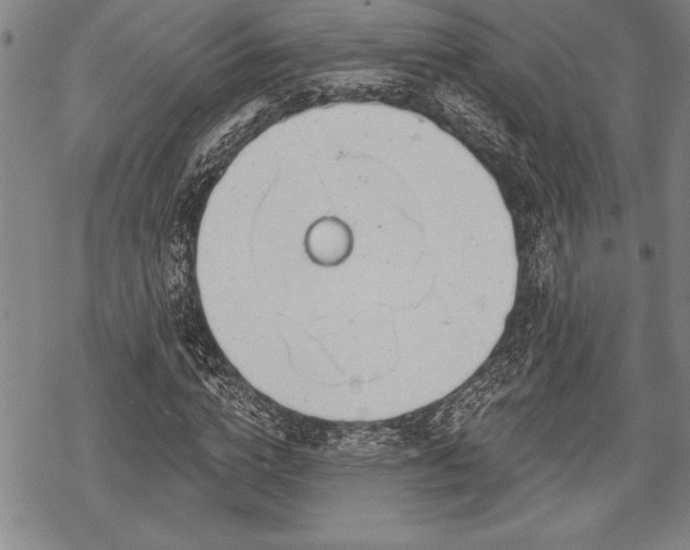 X0000069380824200605150915