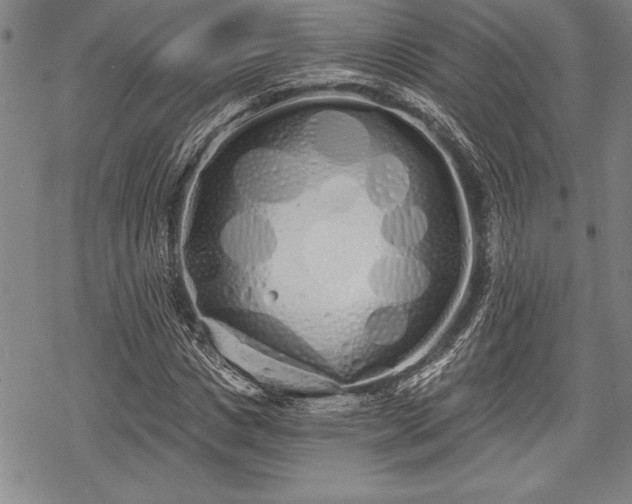 X0000069380825200605150915