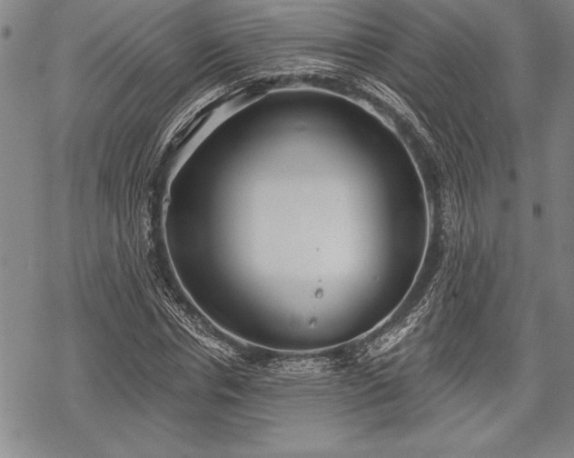 X0000069380826200605150915