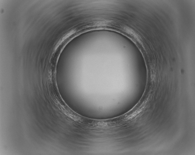 X0000069380827200605150915