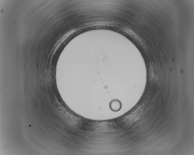 X0000069380828200605150915