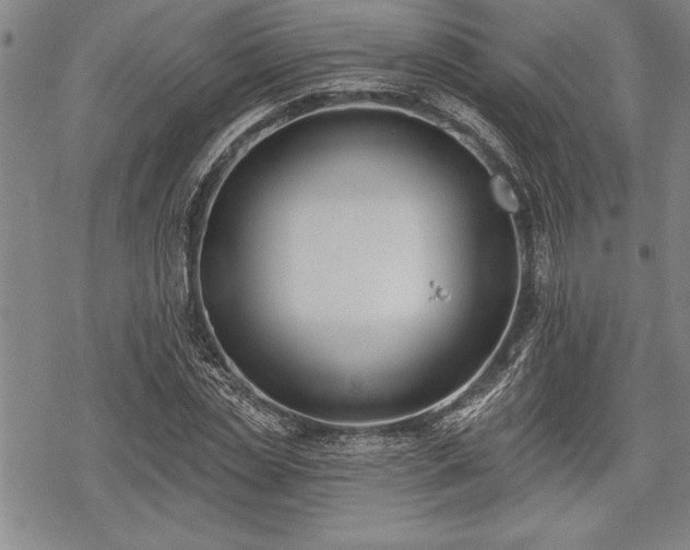 X0000069380829200605150915