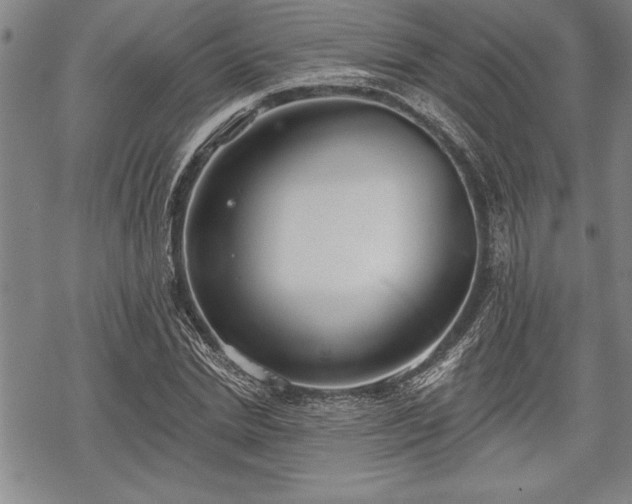 X0000069380830200605150915