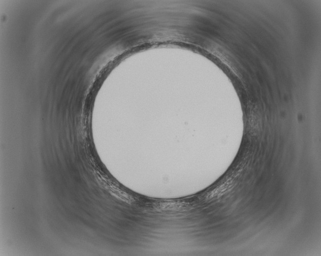 X0000069380832200605150915