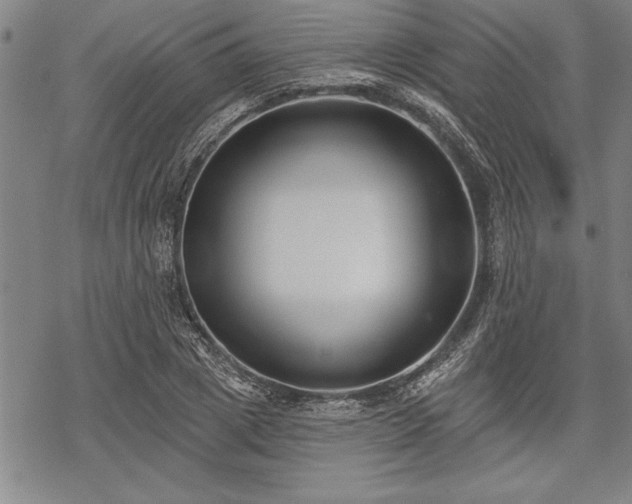 X0000069380833200605150915