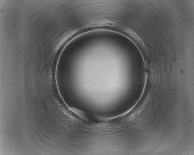 X0000069380834200605150915