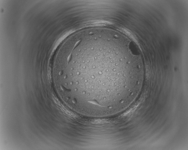 X0000069380835200605150915