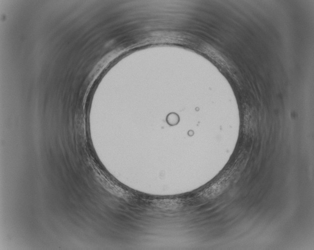 X0000069380836200605150915