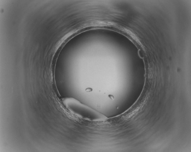 X0000069380837200605150915