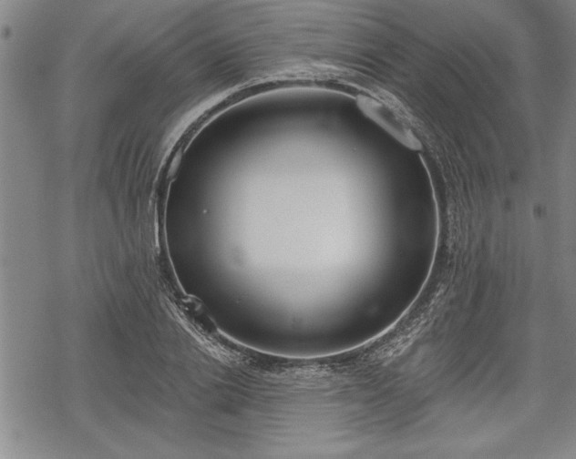 X0000069380838200605150915