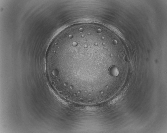 X0000069380839200605150915