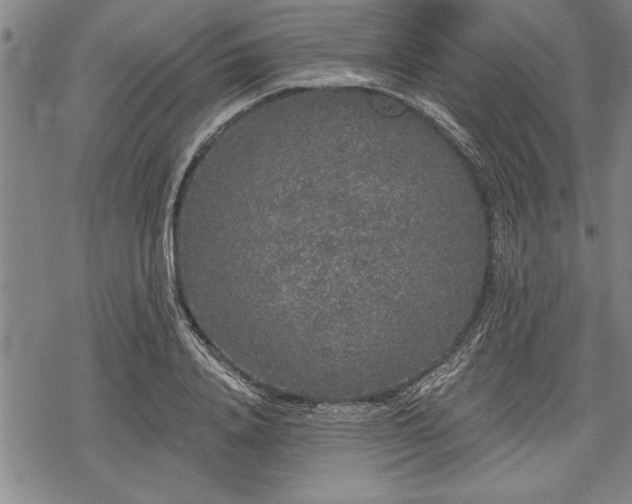 X0000069380840200605150915