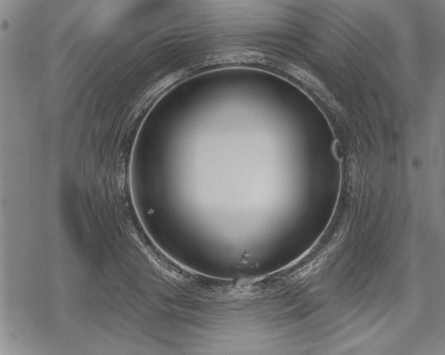 X0000069380841200605150915