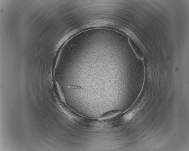 X0000069380842200605150915